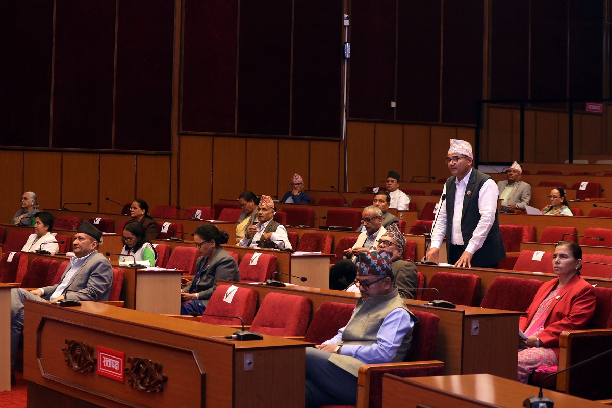 राष्ट्रिय सभा बैठक बस्दै